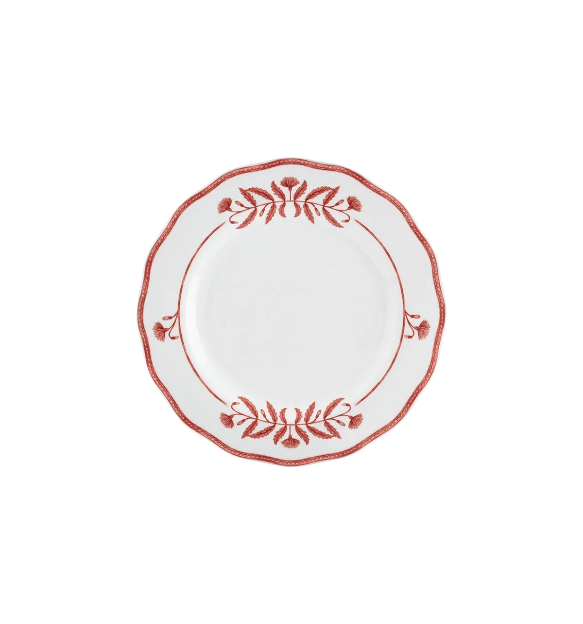 PLATO BASE 32 JANE CORAL