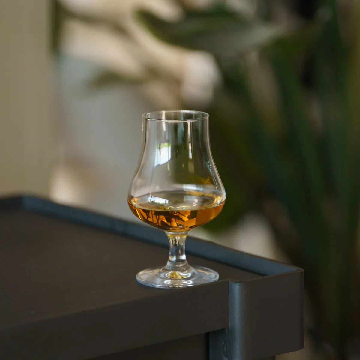 Detalle de la Copa Nosing Stölzle Lausitz, resaltando la calidad del cristal y la base robusta.